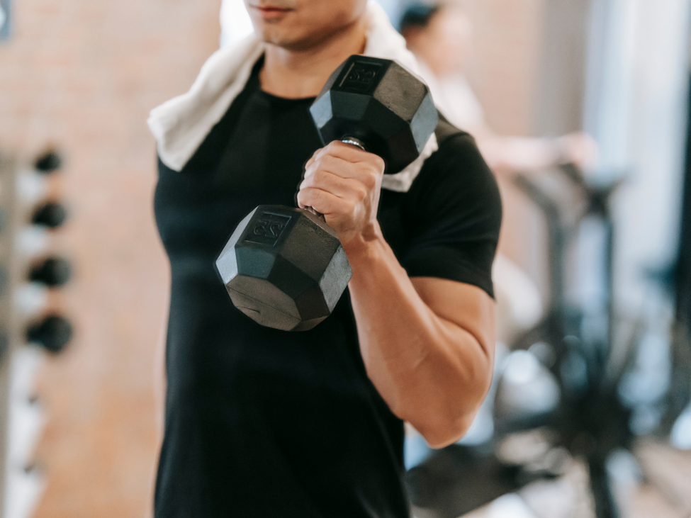12 Week Transformation Program