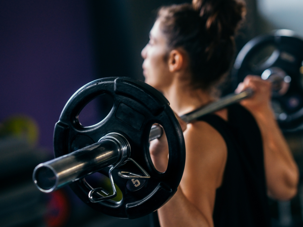 12-Week Transformation Program